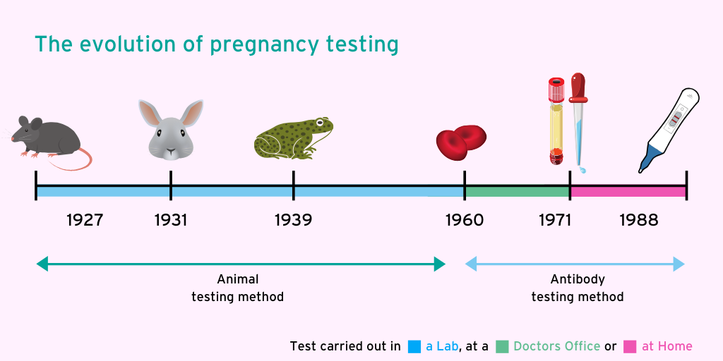 sejarah ujian kehamilan wanita 544