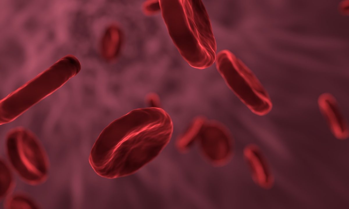 sel darah merah 786