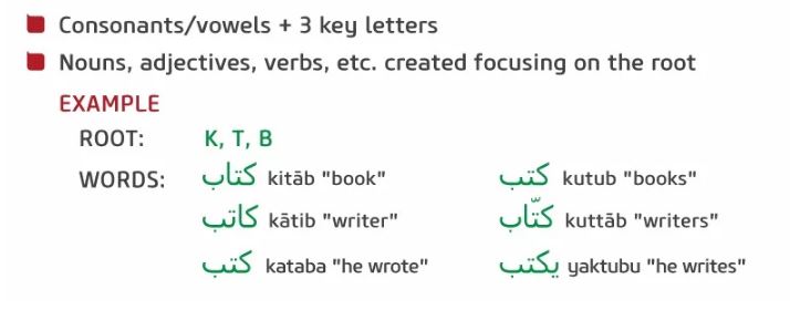 sistem akar bahasa arab