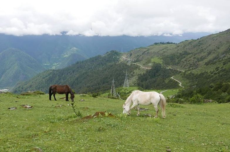 sistem ekologi bhutan