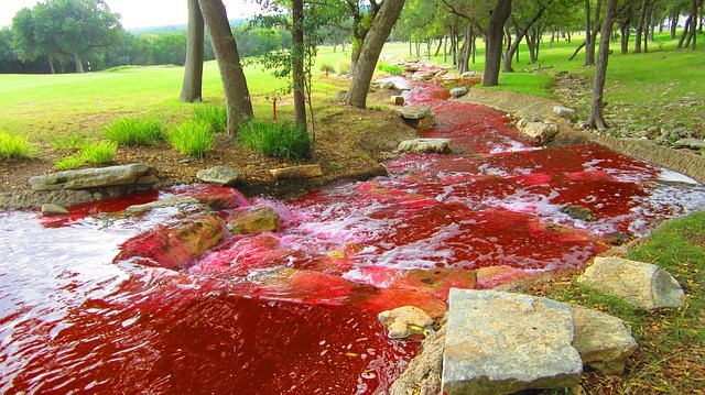 sungai berdarah