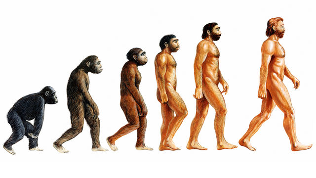 teori evolusi charles darwin