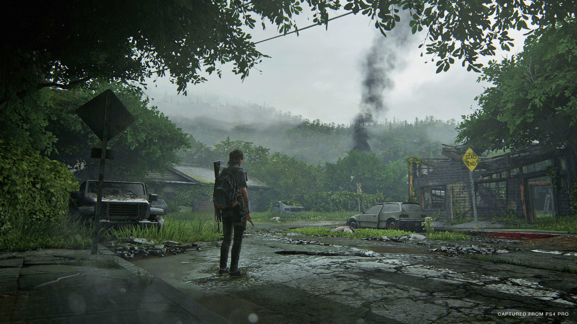the last of us sony ps4
