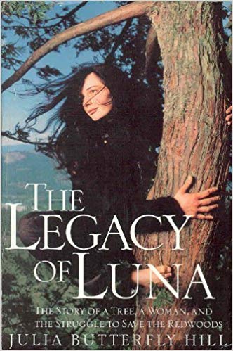 the legacy of luna