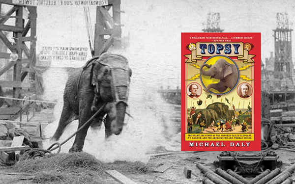 topsy gajah yang dibunuh oleh thomas edison