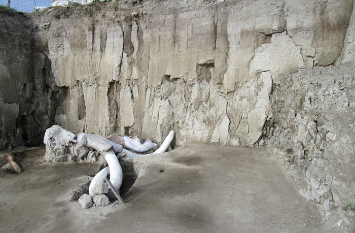 tulang mammoth di tapak di mexico jfif