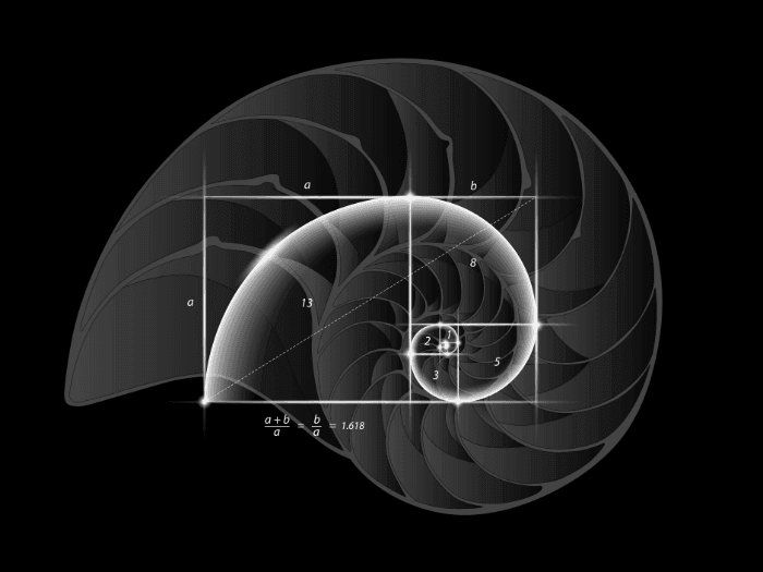 turutan fibonacci 2