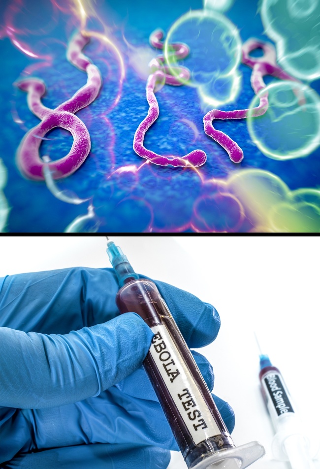 vaksin ebola