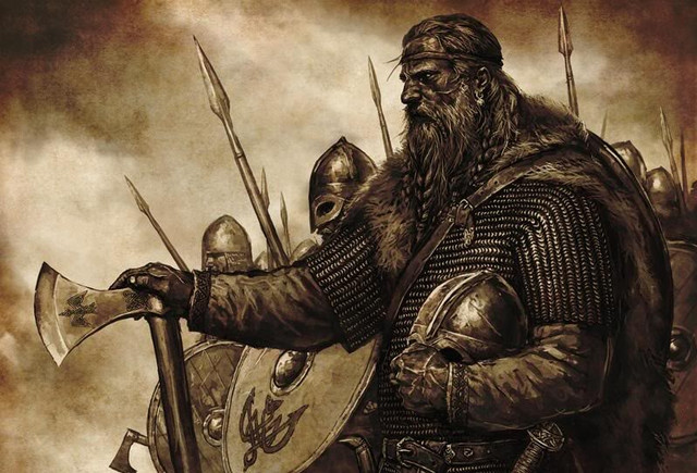 viking 653