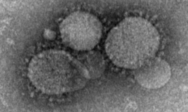 virus hibrid mers rabies 737
