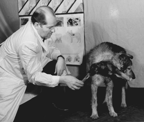 vladimir demikhov 2 eksperimen sains rusia paling gila pernah dilakukan terhadap anjing 3