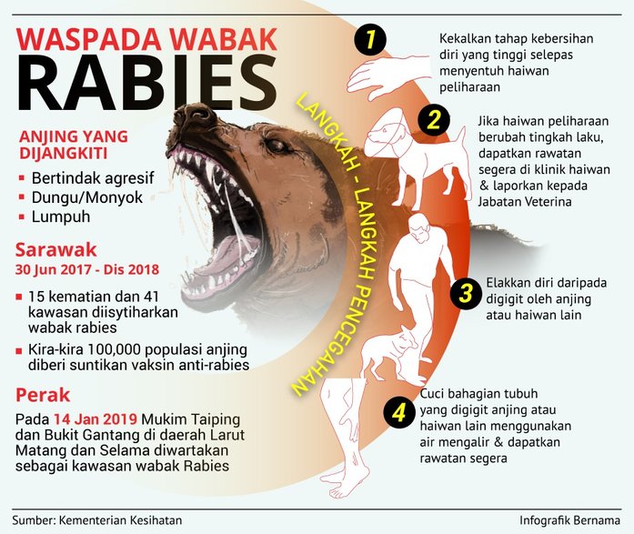 wabak rabies transformed