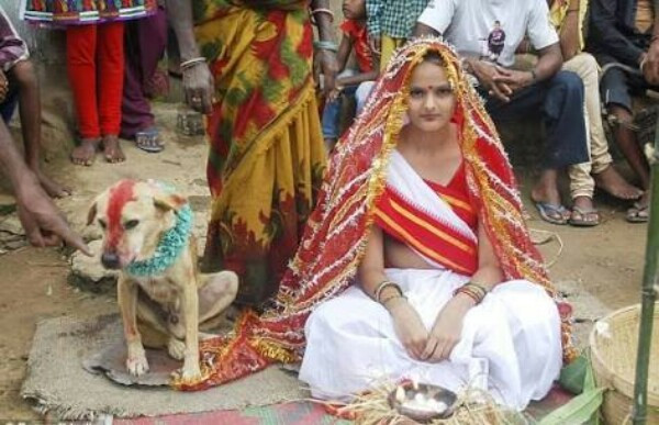 wanita dikahwinkan dengan haiwan
