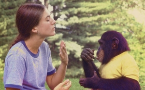 10 Kajian Menarik Berkaitan Komunikasi Haiwan Dengan Manusia