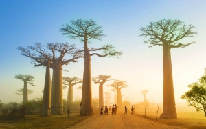 10 pokok yang sangat terkenal sehingga menjadi tarikan pelancong