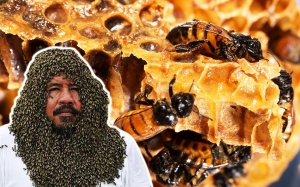 9 Fakta Menarik Mengenai Lebah Madu Haiwan Paling Sibuk Di Dunia