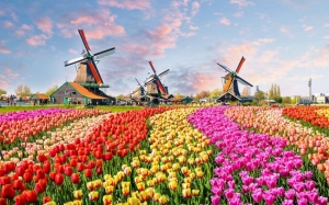 Mengapa Netherlands Juga Dipanggil Sebagai Holland?