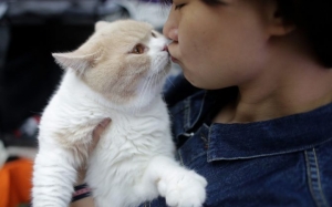 Adakah Selamat Untuk Mencium Haiwan Peliharaan Anda?