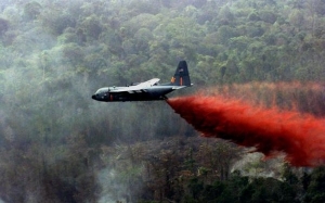 Agen Oren : Kesan Penggunaan Senjata Kimia Semasa Perang Vietnam