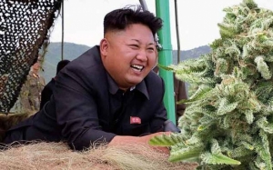 Apakah Status Sebenar Ganja di Korea Utara?
