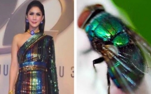 Fesyen Juara Lagu Sajat Disamakan Dengan Lalat, Ini Responnya