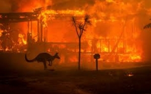 Ini Kronologi Ringkas Kebakaran Hutan Australia Yang Dahsyat