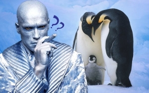 Kenapa Kaki Penguin Tak Beku Walaupun Pada Suhu Serendah -60 °C
