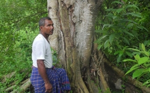 Jadav Payeng - Lelaki Yang Menanam Hutan Seluas 1,300 Ekar Selama 40 Tahun Seorang Diri 