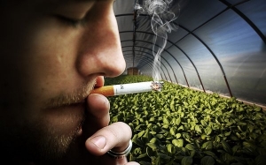 Kesan Merokok Kepada Bumi Selain Dari Menjejaskan Kesihatan