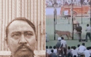 Kisah Gladiator Indonesia Melawan Singa di Stadium Gelora (1968)