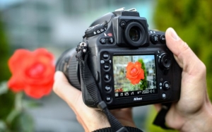 Mengapakah Lensa Kamera Bulat Menghasilkan Gambar Segi Empat?