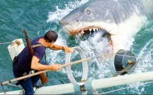 Menyesal Dengan Filem "Jaws", Penulis Ini Kini Seorang Aktivis Hidupan Laut