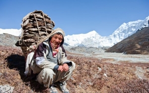Penjelasan Mutasi Genetik Rare Orang Tibet Sehingga Digelar 