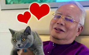 Rakyat Negara Mana Paling Sukakan Kucing Di Dunia?