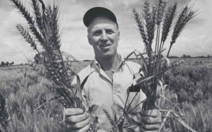 Norman Ernest Borlaug, 