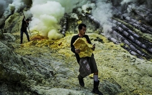 Pelombong Sulfur Di Kawah Gunung Berapi, Pekerjaan Paling Sukar Di Asia 