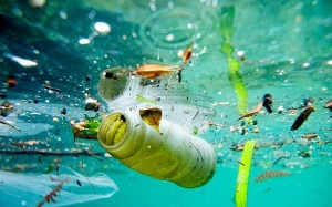 Penggemar seafood berkemungkinan termakan plastik tanpa disedari