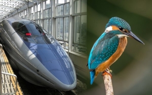 Inilah Kereta Api Laju Shinkansen Yang Terinspirasi Daripada Haiwan Dan Alam Sekitar