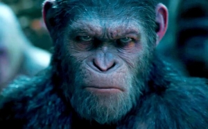 Kajian Buktikan Primat Berbulu Lebat Tidak Boleh Miliki Testis Besar