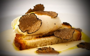 Inilah Truffle, Makanan Paling Mahal Di Dunia