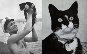Unsinkable Sam, Kucing Yang Terselamat Daripada 3 Kejadian Kapal Karam Semasa Perang Dunia